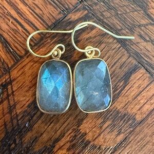 Elegant Gold and Gray Earrings